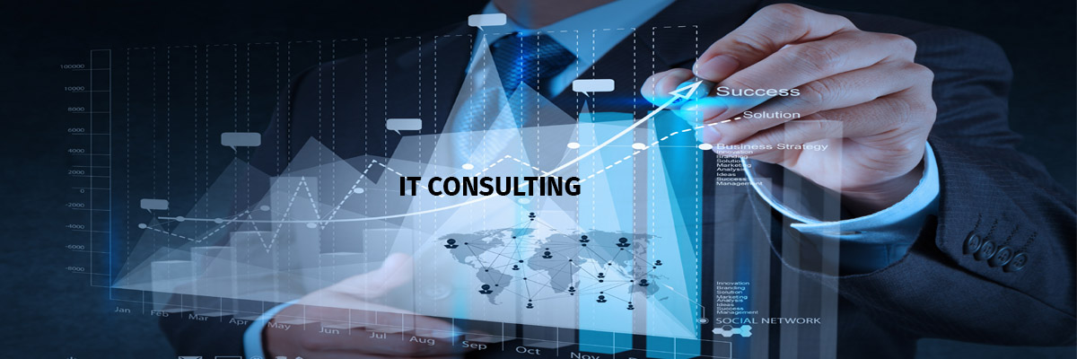IT Consulting